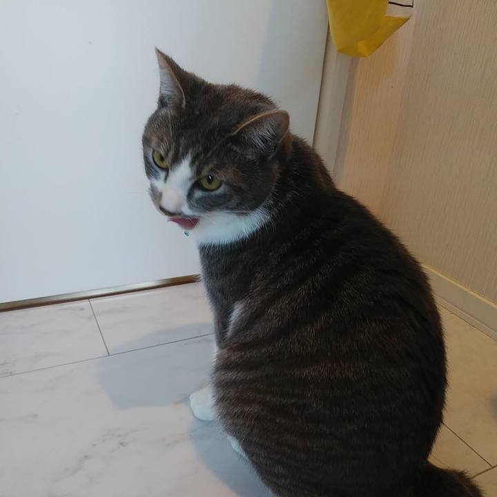 92e8ce44 e41d 4d2f bb3a 3906d8428b77 1581375855530