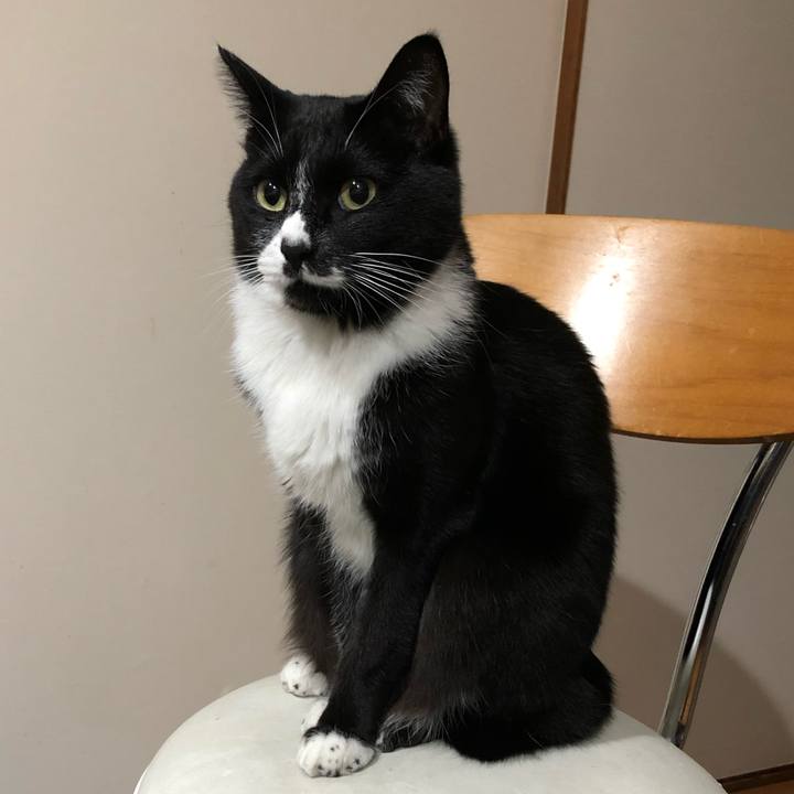 92e8dcc4 6fef 4059 8e88 61202106f658 1606793701966