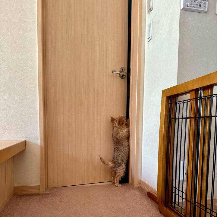 92e8ed1e c2b0 4ea3 968f 8fd6ecb2faf8 1704638754735