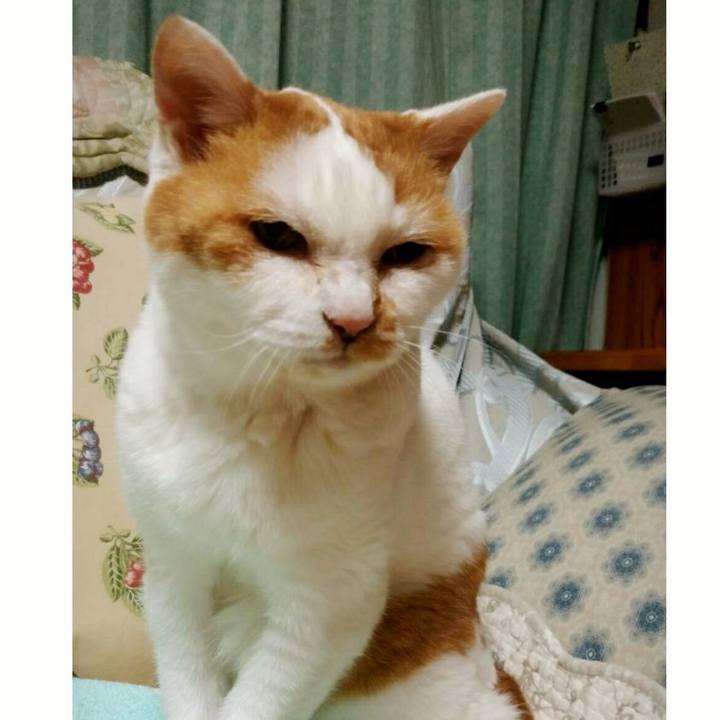 92e95751 1934 42ba a008 c8f8212dd20b 1529412876198