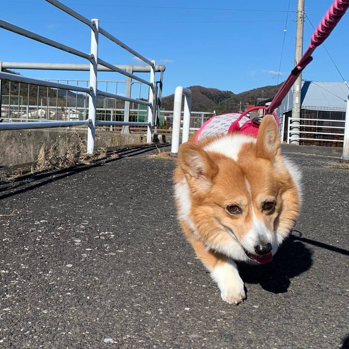 92e9a865 a11b 4066 a339 63e7e27d5cbd 1672114577510