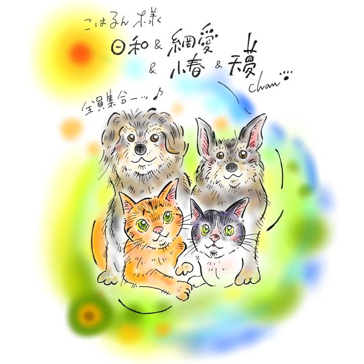 92e9c788 0a26 4e05 a85a d0f67160d3b3 1582143415225