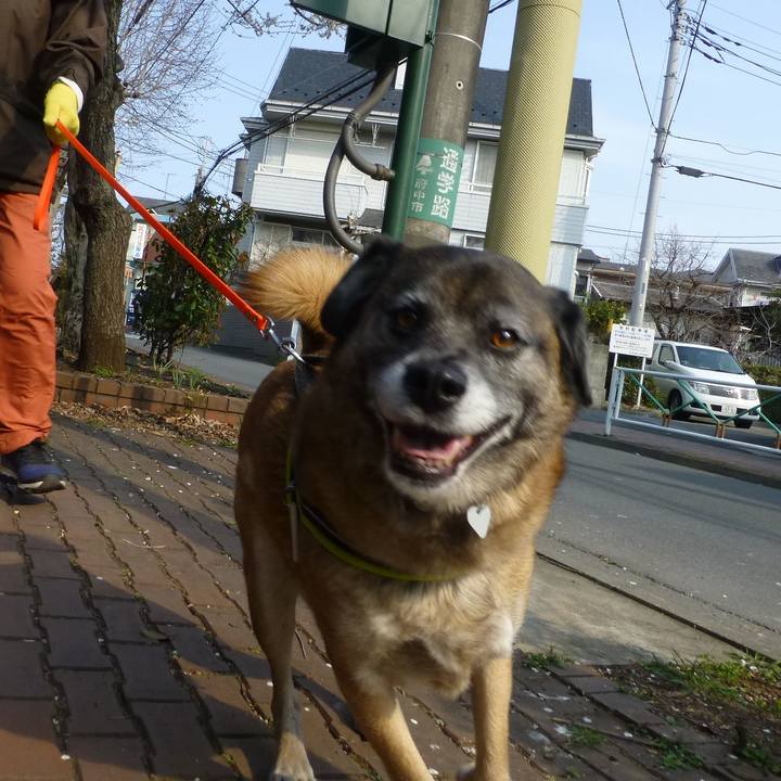 92e9d2aa af24 4c0e ae58 294cbebb3d70 1581331042883