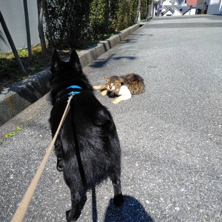 92e9ee64 0592 4030 8f40 2bbee9f9d938 1551494090454