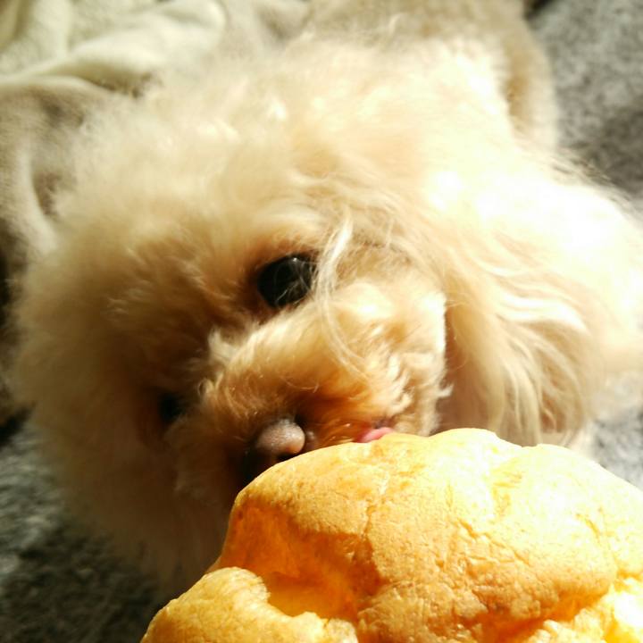 92e9ee93 6eac 4076 af74 d1dbc266a13a 1516441948132