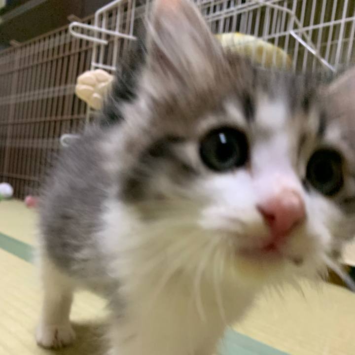 92ea2325 845f 4c7d 9407 2c2f2c366b70 1686224184261