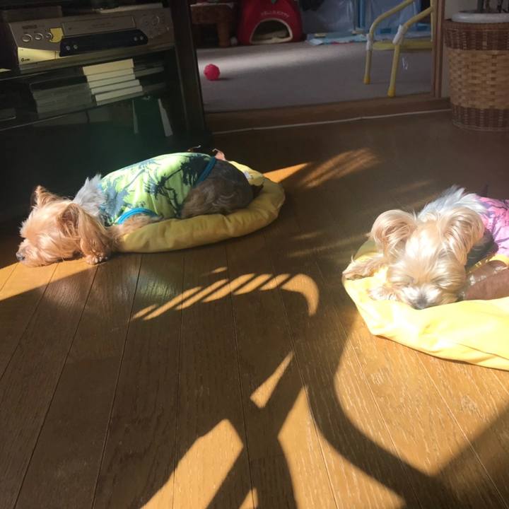 92ea3495 bf5a 4650 8804 4a9c76e660f2 1554332931027