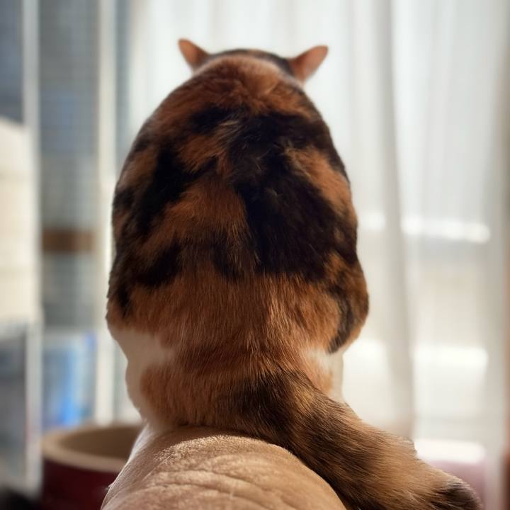 92ea64a3 744c 41c3 aa32 8fbecb94ff42 1739153092802