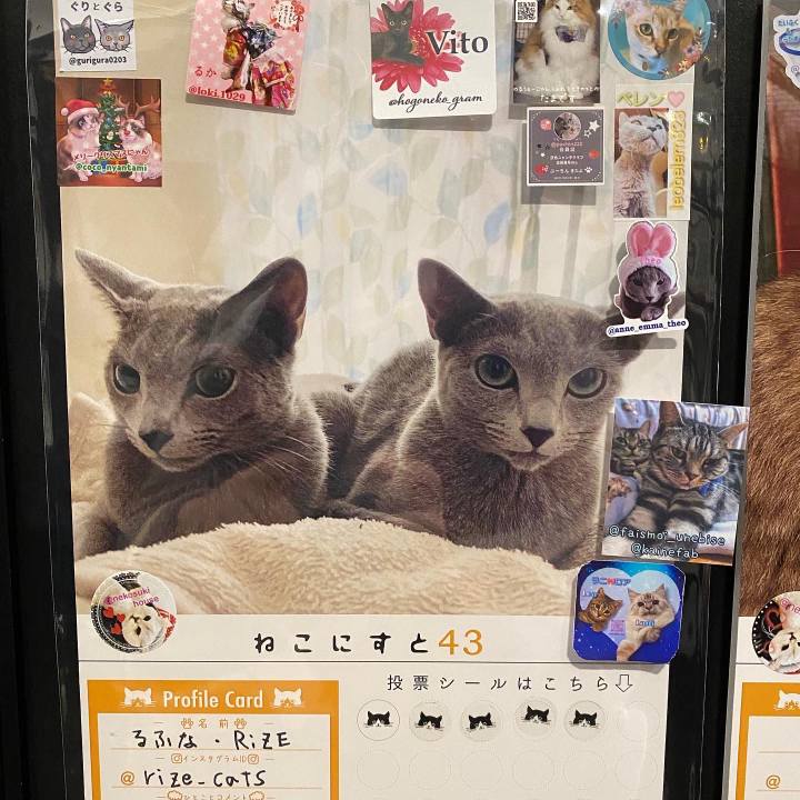 92ea83ef a896 4d8e 82b8 ddef136a174c 1640422273577