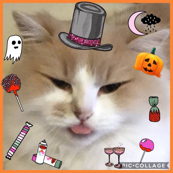 92eada78 fe6e 4225 99cd 54438457f594 1509427235271