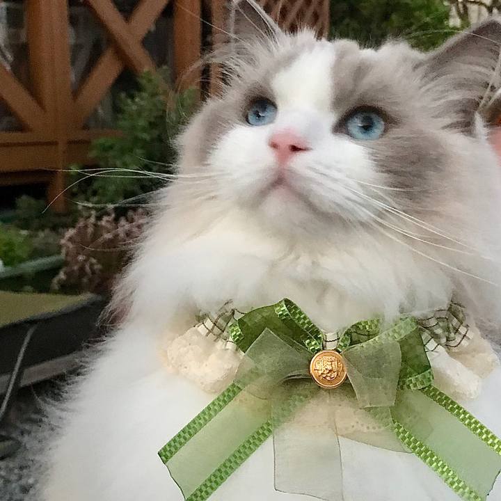 92eadba4 10a3 48ee 8dea b27be2e97b53 1603529990664