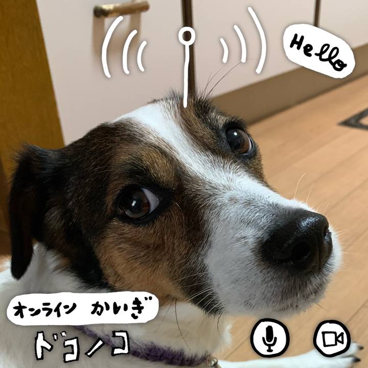 92eadd76 6c8a 4826 82ed 03cd033b7b17 1590910471585