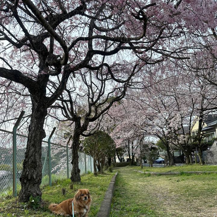 92eb0214 8700 41b9 89db 2852848ad0e4 1680218822222