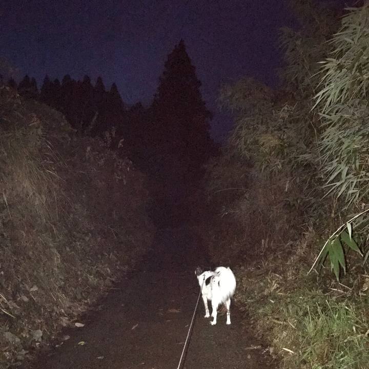 92eb2a8b b1e3 4b23 aa4c 1dadde754c06 1511390958195