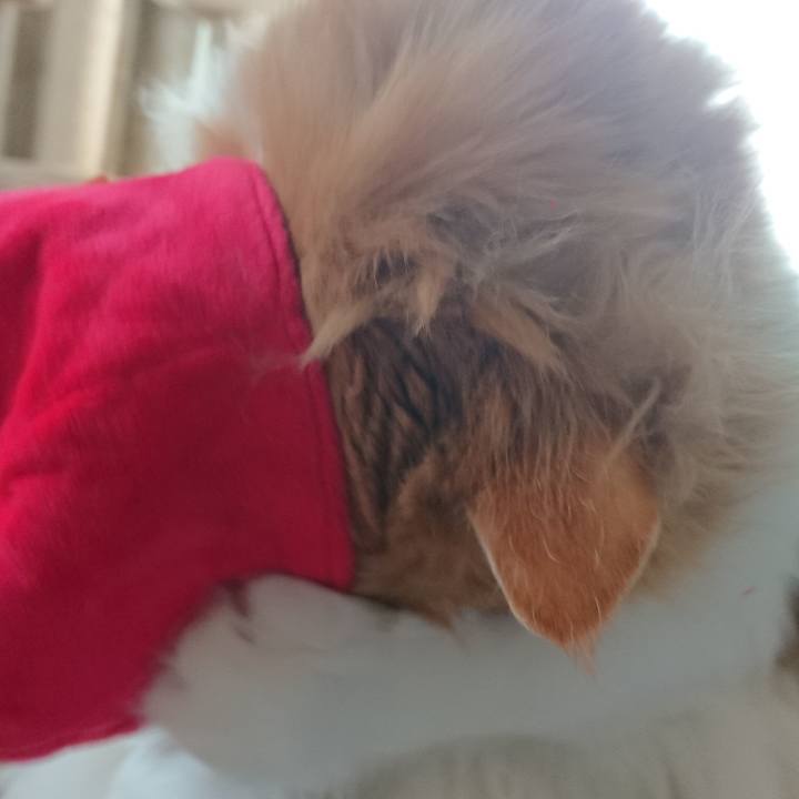 92eb3765 086c 4531 9387 925ac46243d7 1522553945798