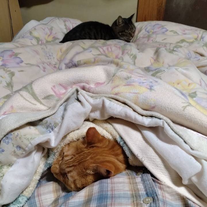 92eb6a61 cb87 49b8 a38d 2c5e724a2523 1696509153927