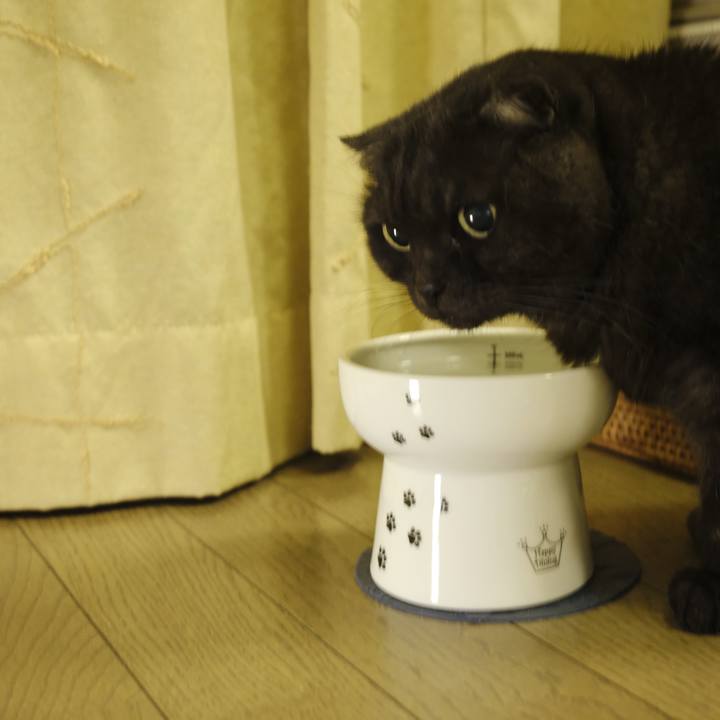 92eb99d7 0eda 4be6 a671 ea0f9bdb39fd 1642606976088