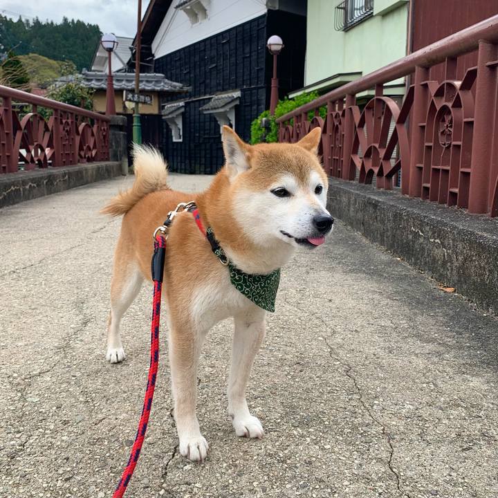 92eba682 486c 4584 a783 7695812f2236 1649923742246