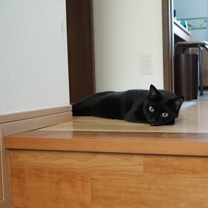 92ebb7f0 8e19 4567 aa03 1ecd60e46dff 1564703652338