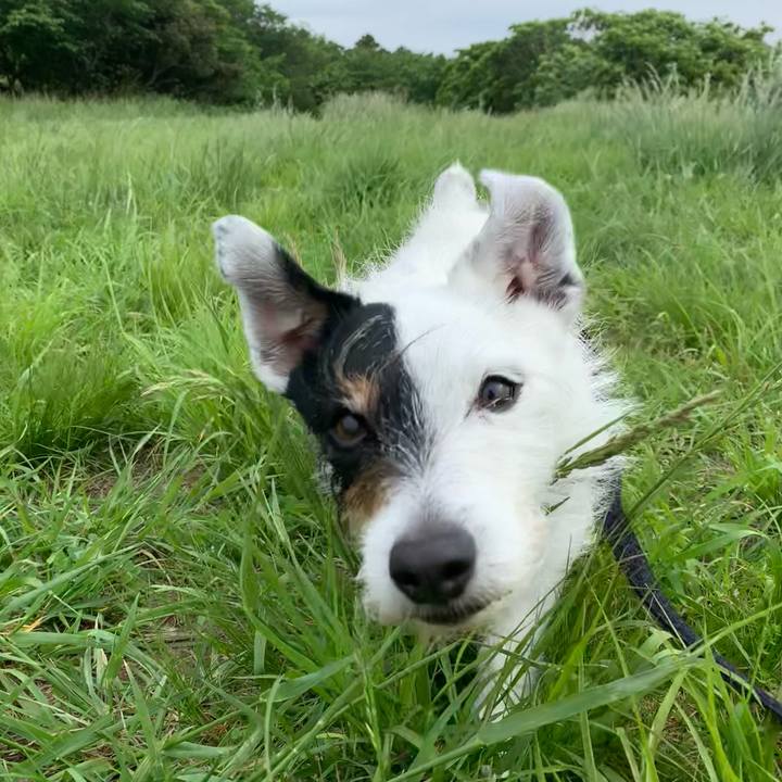 92ebc7b5 9208 48d5 861c 7b38da31d509 1714953821340