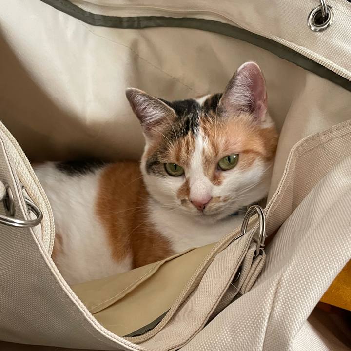 92ebceb4 2f83 4165 8dcf 667d6d2f23d7 1721458951426