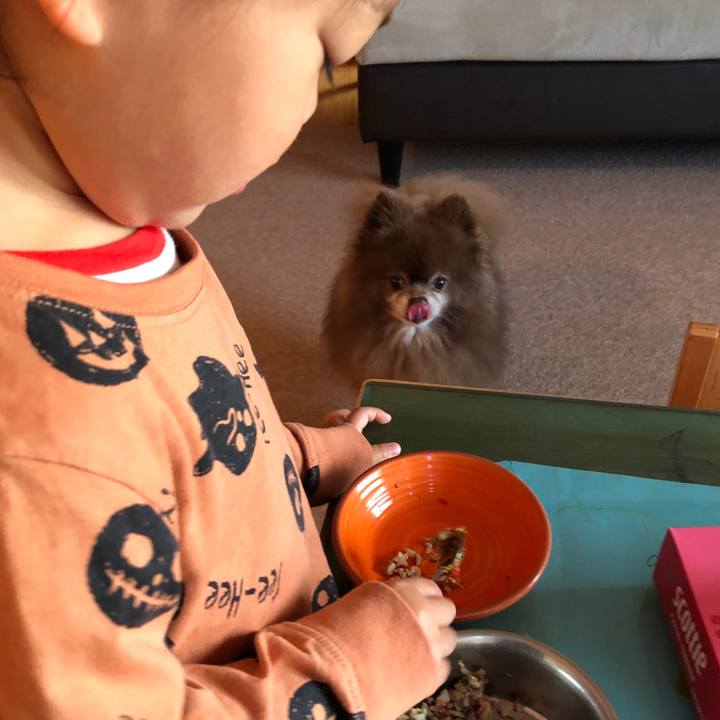 92ebf06b 27a2 45a2 a75f b83c23899c7b 1635422886829