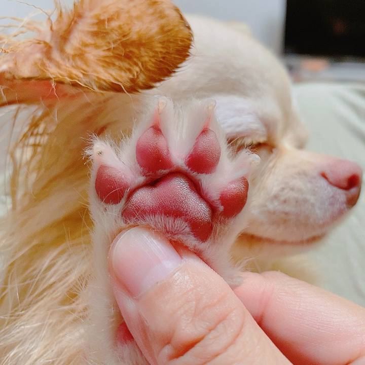 92ebfb3c f73b 47a2 bf44 f71f7c4af1d6 1626759827815