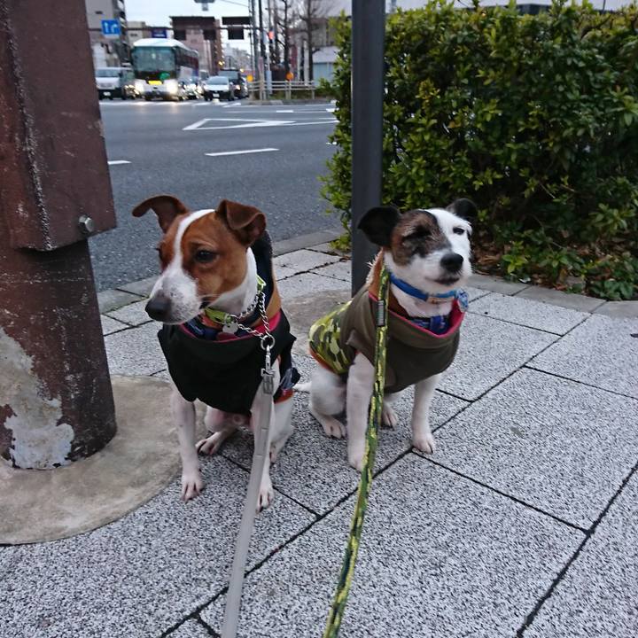 92ec13a6 5d5e 41de a67b 08f2e39574e0 1550009713699