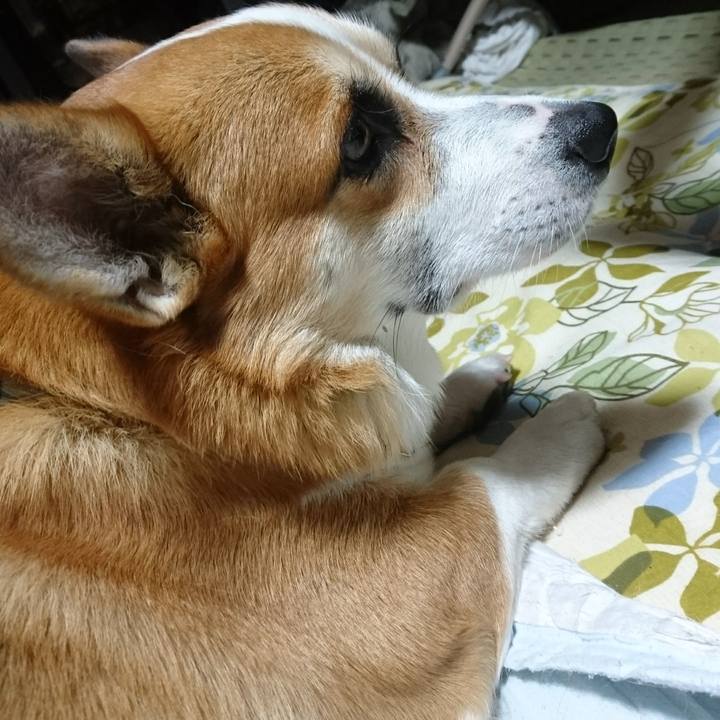 92ec3bd7 5e19 4f23 a33c 02e186d1b78a 1627424368808