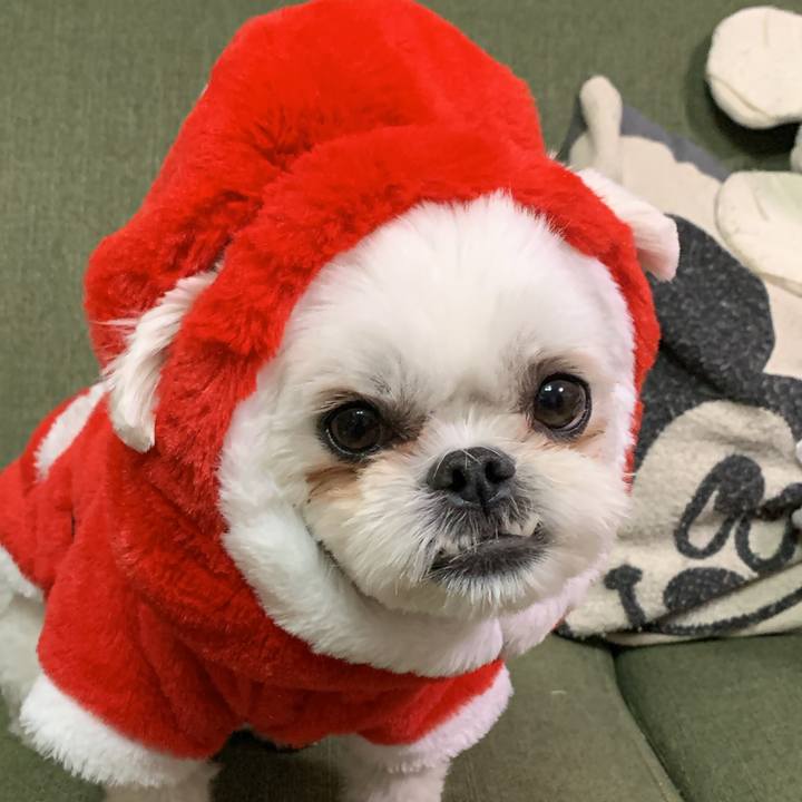 92ec853e ce77 4251 80c1 f195d5abb85a 1703427448178