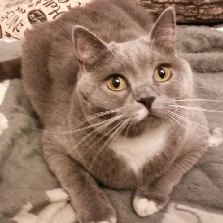 92ecb970 dde0 407c b029 74e86c65a9fd 1577160110396