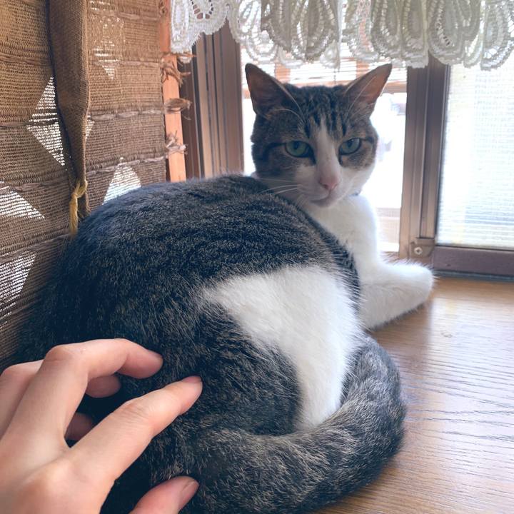 92ecdc96 04d9 43a5 b147 91622854ca09 1562069441969