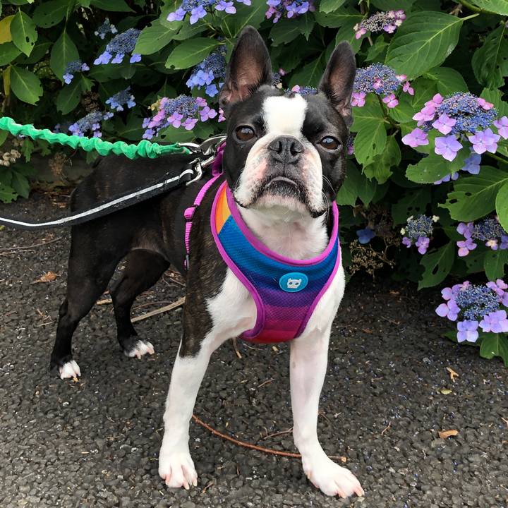 92eceffd 0607 4723 a8f8 dc8bf9619721 1591961733094