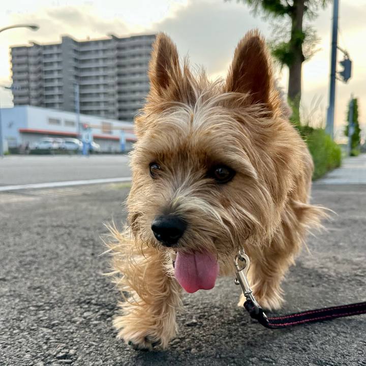 92ed347d db48 4ba4 a4e0 fc1ad759db71 1751615915025