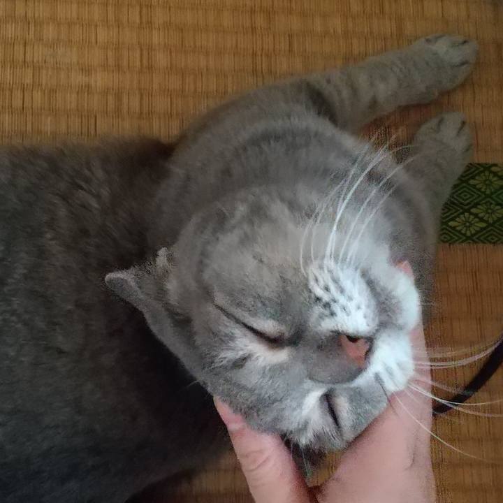 92ed388a f55f 4628 b57c d095e514e277 1660877587284