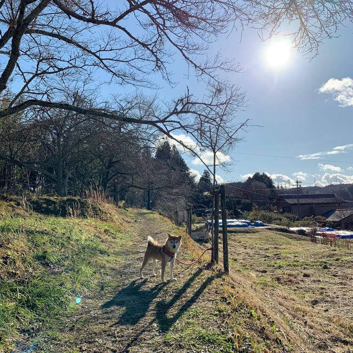 92ed74ca 70b6 4370 9416 f4a96bd464f2 1575362429089