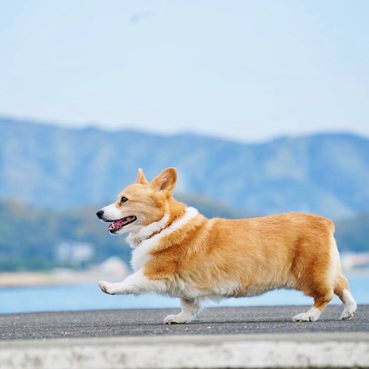 92ed8636 7c33 4f84 8c08 031307984c41 1765370674400