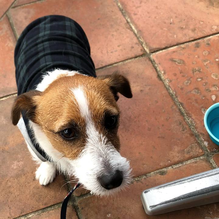 92edb955 e563 49d6 b03a 5b696c97825f 1511964000823