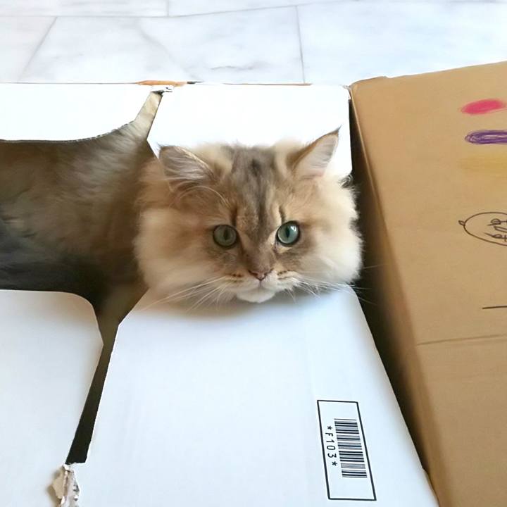 92edde93 ca0c 4854 8464 4d513af84251 1570760505389