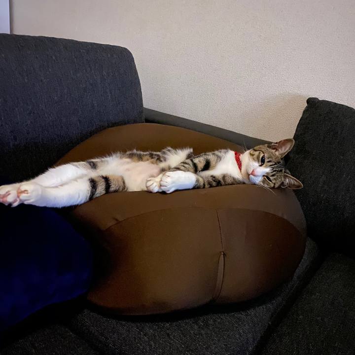 92ede3ae ea6f 472e 8bbf d79c14cc8382 1582755529868