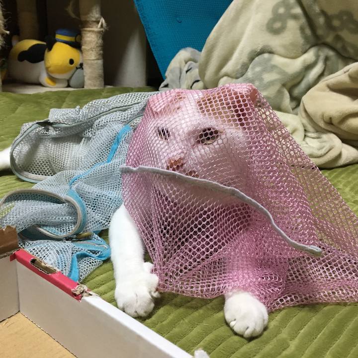 92ee357c 0d82 4d24 87fa 67af1e0c9c13 1552053943406