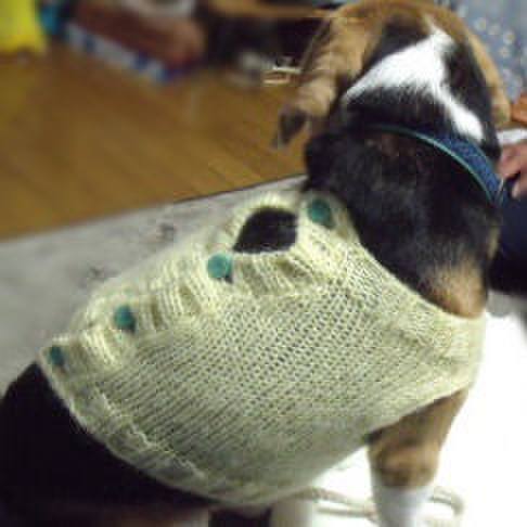 92ee53ee 28ba 4f5f 97ec a20f4c521700 1699747099652