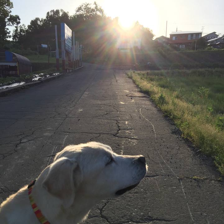 92ee6269 0bbb 44aa ae31 bf73a21b4d20 1554817878560