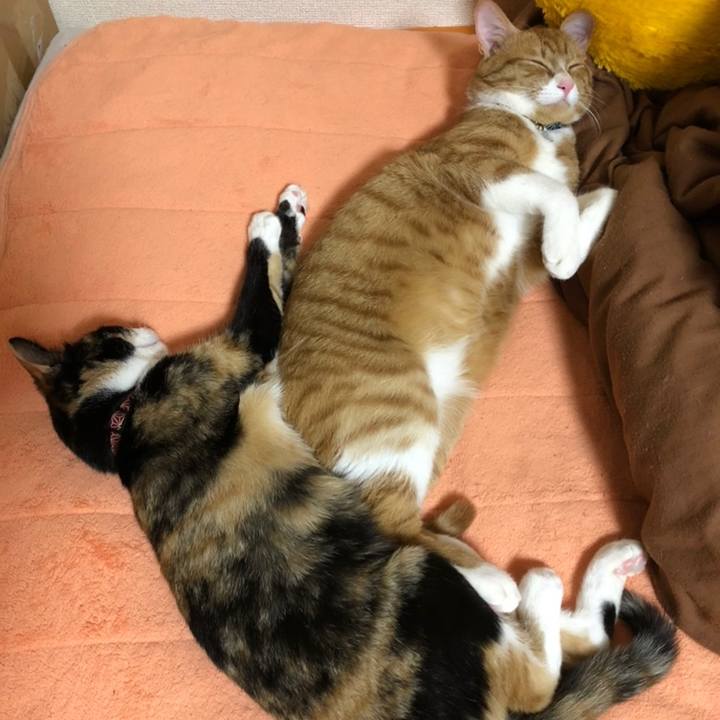 92ee67e0 4c1c 4230 889e 8d9f6b48e36b 1558578057795