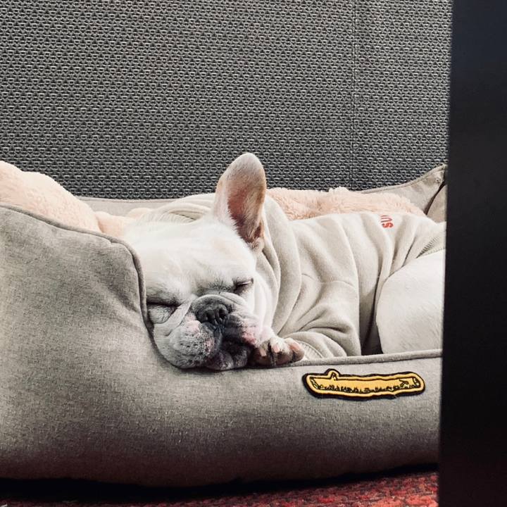 92ee86c5 99de 4b71 9675 48898bd10225 1583646704132