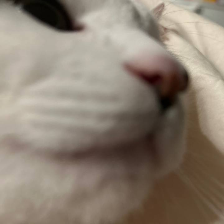 92ee8dd6 627c 4d80 adb5 129ff6ddc813 1765848237271