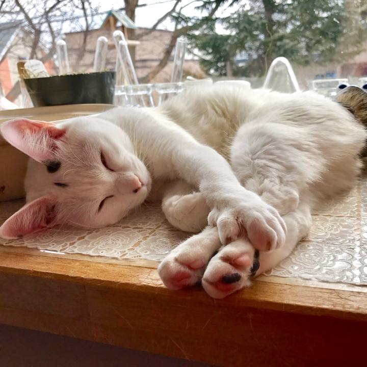 92ee9a80 e9a9 4f65 b916 2971f1fe878f 1524606336027