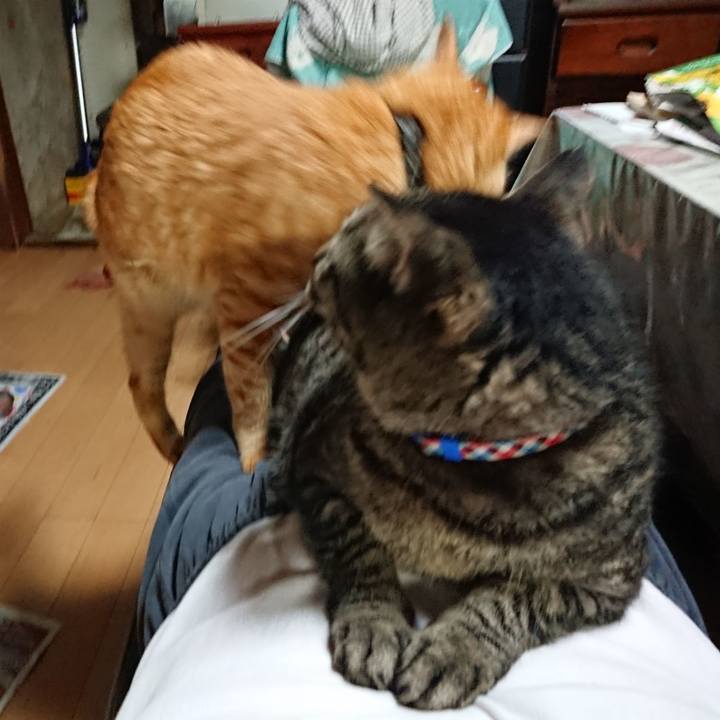 92eea47e 5b43 4f22 98bf 4ce3d84e0892 1658480578826