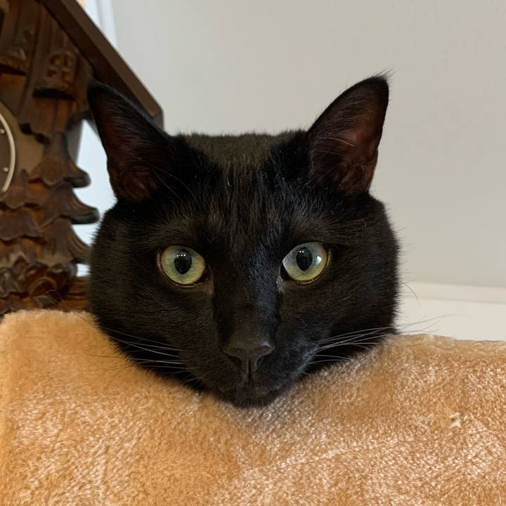 92eee575 5f61 4cac aee0 a310382a1c99 1645888884848