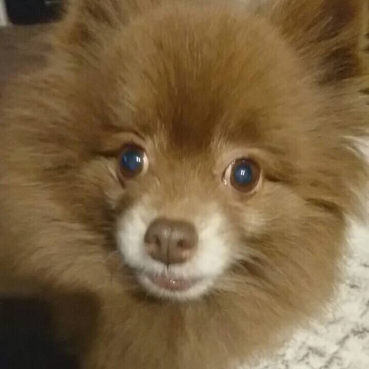 92eefd0d bf82 4c5c a666 0727afcccd0e 1546427117220